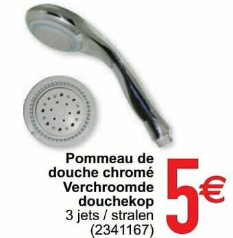 Pommeau de douche chromé verchroomde douchekop