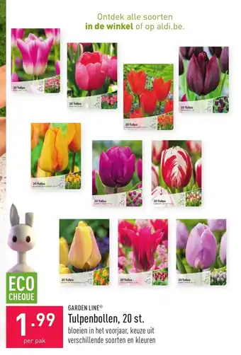 ALDI Garden Line Tulpenbollen, 20 st. per pak aanbieding