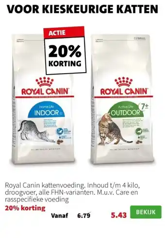 Intratuin Royal canin kattenvoeding aanbieding