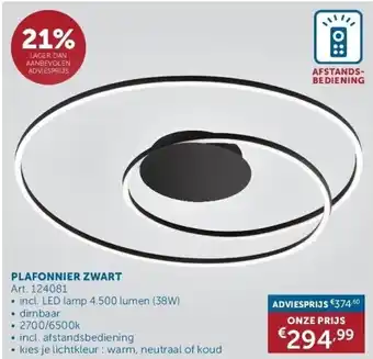 Zelfbouwmarkt Plafonnier zwart aanbieding