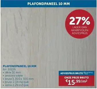 Zelfbouwmarkt Plafondpaneel 10 mm aanbieding