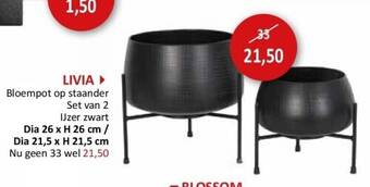 Weba Blossom aanbieding