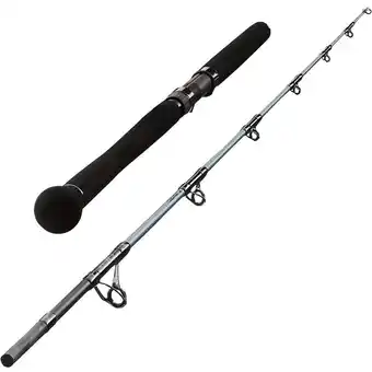 Decathlon Hengel voor vissen op meerval bigfight-5 195 80/220 g aanbieding