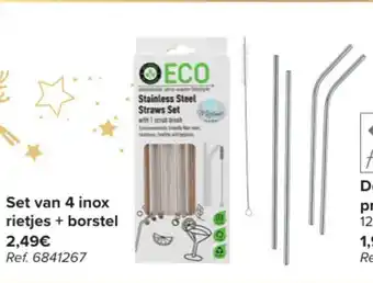 Set van 4 inox rietjes + borstel
