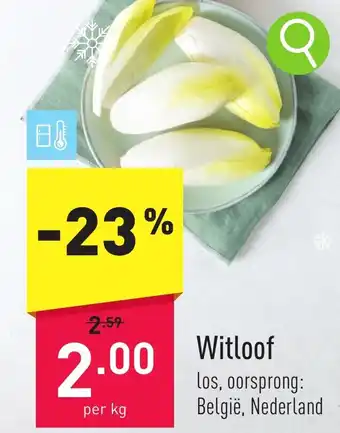 ALDI Witloof aanbieding