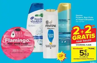Carrefour Gamma pantene, bear fruits en head & shoulders aanbieding