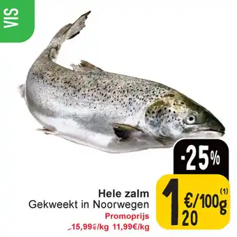Cora Hele zalm aanbieding