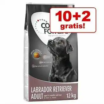 Zooplus 12kg 10 + X-Large Junior Concept for Life Hondenvoer aanbieding