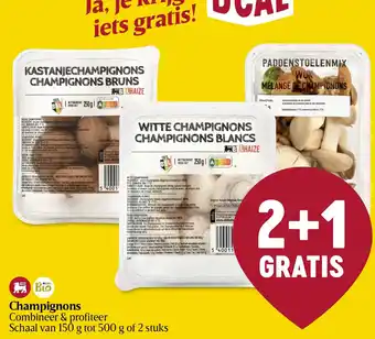Champignons
