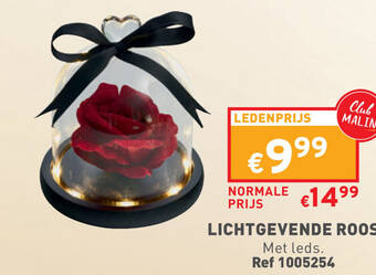 Trafic LICHTGEVENDE ROOS aanbieding