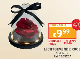 LICHTGEVENDE ROOS