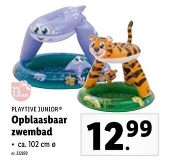 Lidl Opblaasbaar zwembad aanbieding