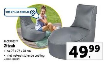 Lidl Zitzak aanbieding