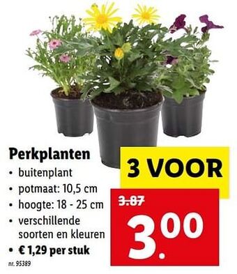 Lidl Perkplanten aanbieding