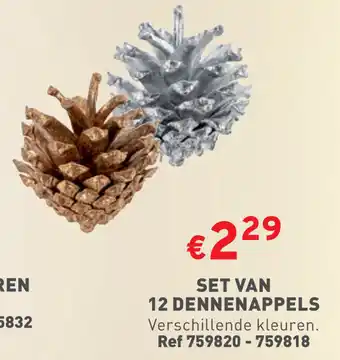 SET VAN 12 DENNENAPPELS