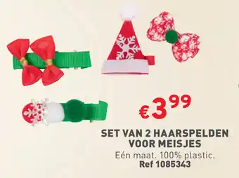 SET VAN 2 HAARSPELDEN VOOR MEISJES