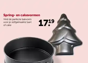 Spring- en cakevormen