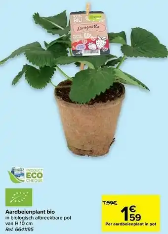 Carrefour Aardbeienplant bio aanbieding