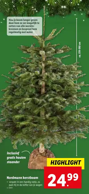Nordmann kerstboom