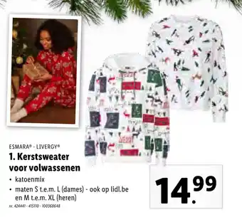 Lidl Kerstsweater voor volwassenen aanbieding