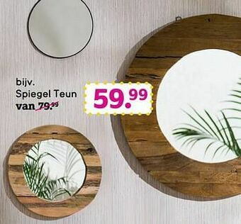 Leen Bakker Spiegel teun aanbieding