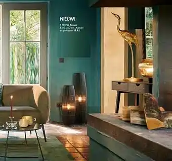 Casa Ferns kussen aanbieding