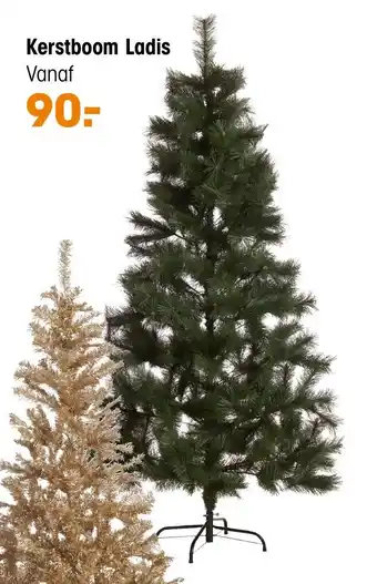 Kwantum Kerstboom Ladis aanbieding