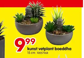 Kunst vetplant boeddha