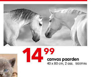 Yess Canvas paarden aanbieding
