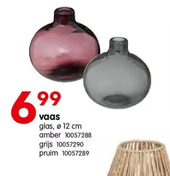 Vaas