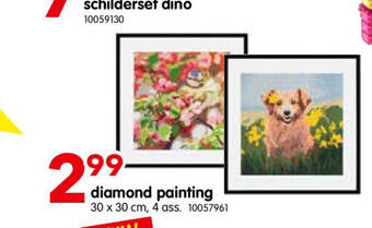 Yess Diamond painting aanbieding