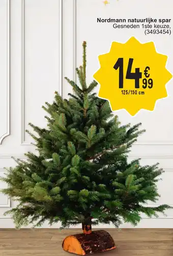 Cora Nordmann natuurlijke spar 125/150 cm aanbieding