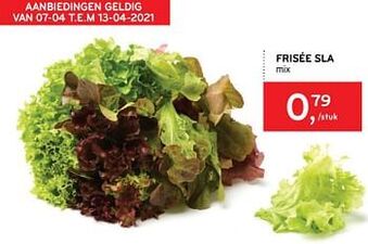 Alvo Frisée sla aanbieding