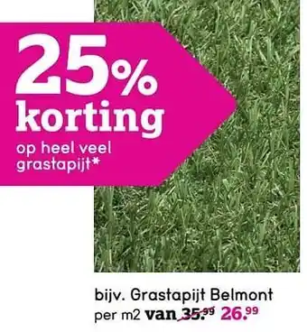 Leen Bakker Grastapijt belmont aanbieding