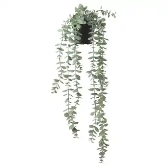 IKEA Fejka kunstplant, binnen/buiten hangend/eucalyptus, 9 cm aanbieding