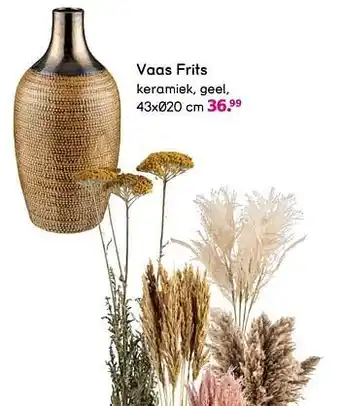 Vaas frits 43x20 cm