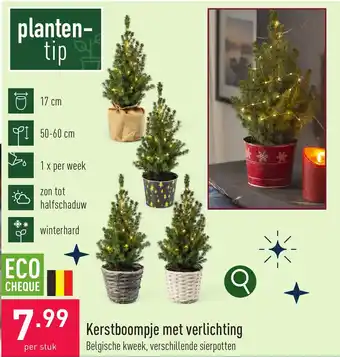 ALDI Kerstboompje met verlichting aanbieding