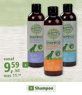 Shampoo