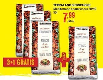 Terraland sierschors