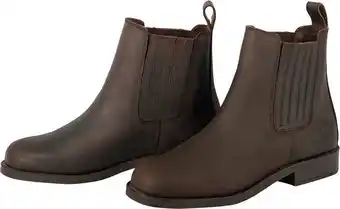 Harry's horse jodhpur american leather