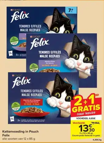 Kattenvoeding in Pouch Felix