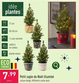Petit sapin de Noël illuminé