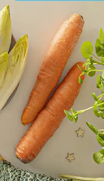 Carottes 1 kg