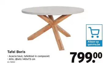 GAMMA Tafel Boris aanbieding