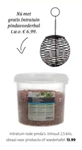 Intratuin rode pinda's. Inhoud 2,5 kilo, ideaal voor pindasilo of voedertafel