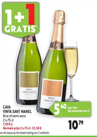 Cava vinya sant manel
