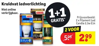 Kruidvat Ledverlichting aanbieding