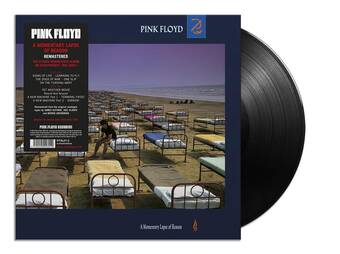 Bol.com Momentary lapse of reason (lp) aanbieding