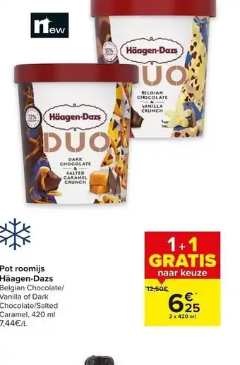 Carrefour Pot roomijs Häagen-Dazs aanbieding