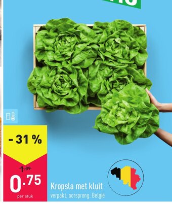 ALDI Kropsla met kluit aanbieding